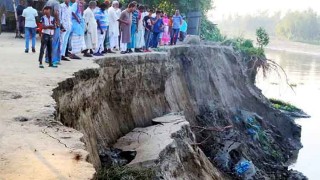 টাঙ্গাইলে নদী ভাঙনে দিশেহারা হাজারো পরিবার