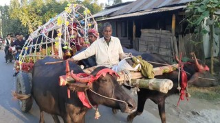 মহিষের গাড়ীতে বিয়ে করতে গেলেন বর