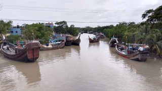 সাগরে ইলিশ নেই, হতাশ জেলে-ট্রলার মালিকরা