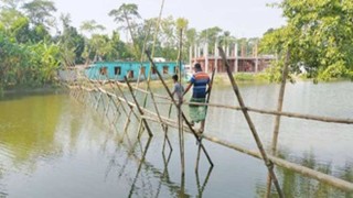 ঝুঁকি নিয়েই বাঁশের সাঁকো পারাপাড়, নেই সেতু