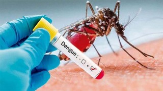 Dengue claims six more lives, 918 hospitalized in 24 hrs