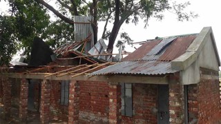 ঝড়ে লণ্ডভণ্ড বিদ্যালয়, গাছের মগডালে ঘরের চাল