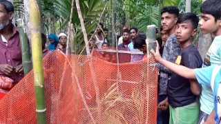 ২০ হাজার টাকা চুক্তিতে কবর থেকে কাফন চুরির চেষ্টা!