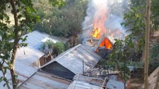 রাঙ্গুনিয়ায় ফের আগুনে পুড়ল বসতঘর, গবাদি পশু