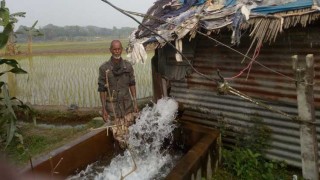 বিদ্যুতের দাম বাড়ায় বোরো আবাদ নিয়ে শঙ্কায় কৃষক