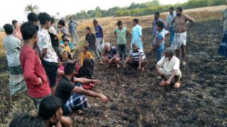 শস্যের গোড়া পোড়াতে গিয়ে পুড়ল ১৭ কৃষকের স্বপ্ন!