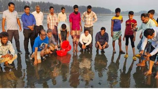 কক্সবাজার সমুদ্রসৈকতে ৪৬টি কচ্ছপের বাচ্চা অবমুক্ত