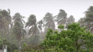 ঘূর্ণিঝড় ‘মোখা’র কারণে ঢাকায় বেড়েছে বাতাস