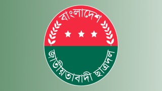 বিজয় দিবসে ছাত্রদলের কর্মসূচি ঘোষণা