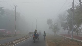 চুয়াডাঙ্গায় আবারও বাড়ছে শীত, তাপমাত্রা নামল ১০ ডিগ্রিতে