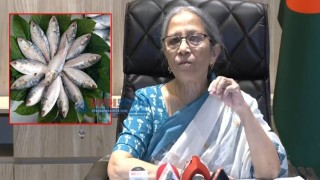 সৌদি আরব-আমিরাতে প্রবাসীদের জন্য ইলিশ পাঠাবে সরকার