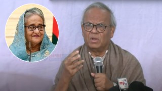 এত হত্যাকাণ্ডের পরও শেখ হাসিনার কোনো অনুশোচনা নেই: রিজভী