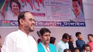 সরকারের কিছু উপদেষ্টা আওয়ামী লীগের ভাষায় কথা বলছেন: টুকু