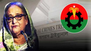 শেখ হাসিনাকে প্রধান আসামি করে ট্রাইব্যুনালে বিএনপির অভিযোগ