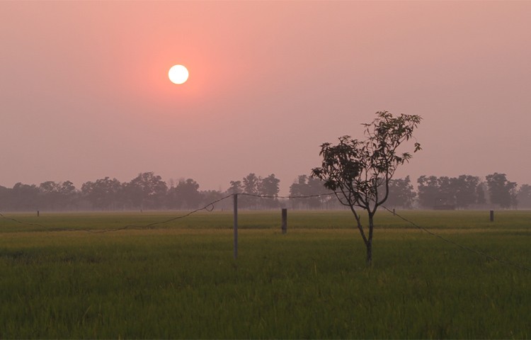 বাংলার রূপ